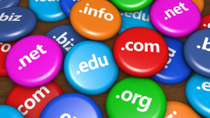 Do You Need Multiple Domain Names for One Website?